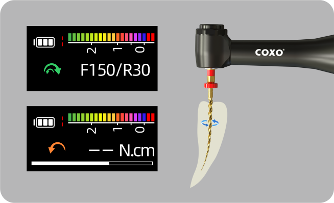 C-SMART MINI AP+ Endo motor