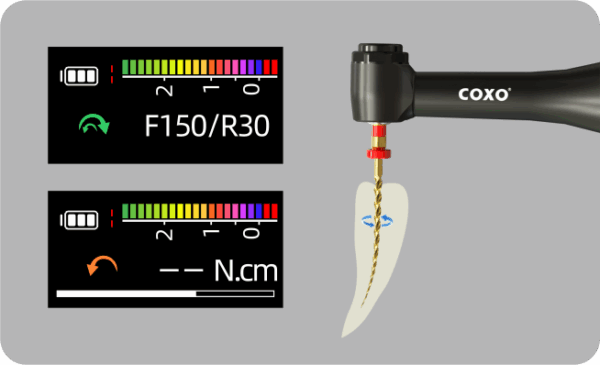 C-SMART MINI AP+ COXO  Endo motor
