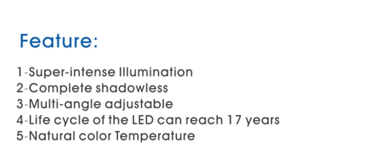 Dental Operating Light CX249-22 COXO