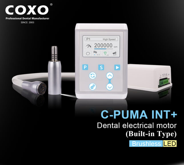MICRO MOTEUR ELECTRIQUE C-PUMA INT+ COXO