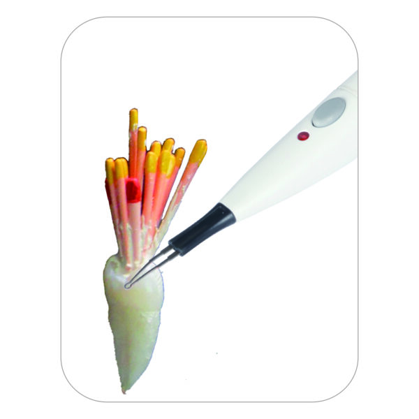 C-BLADE Gutta Cutter