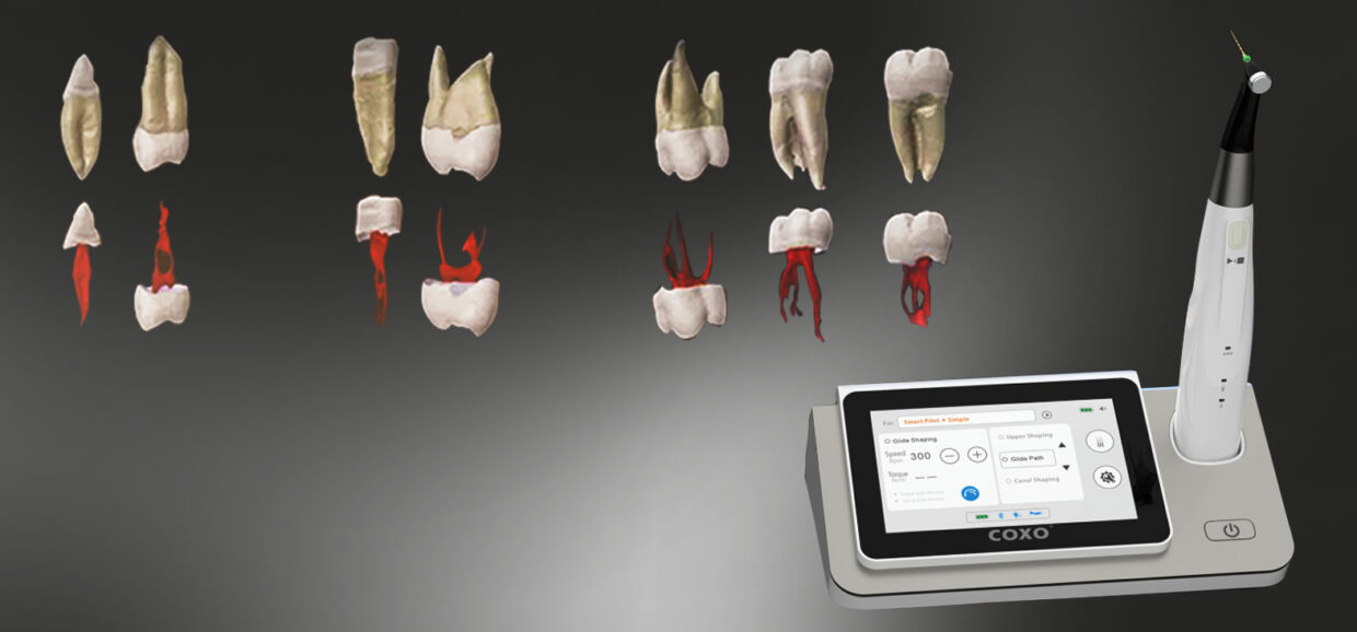 C-SMART-1 PILOT endo Moteurs
